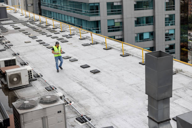 Best Roof Coating and Sealing  in Boulder Hl, IL