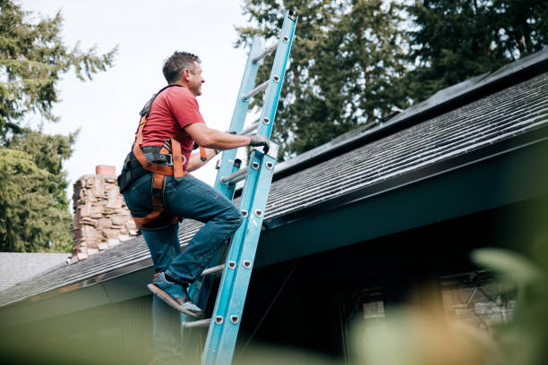 Best Skylight Installation and Repair  in Boulder Hl, IL